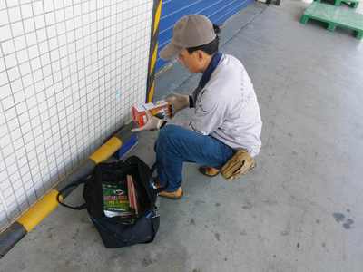 食品廠老鼠防治方案，早用早省心 清潔服務(wù)助您無憂經(jīng)營